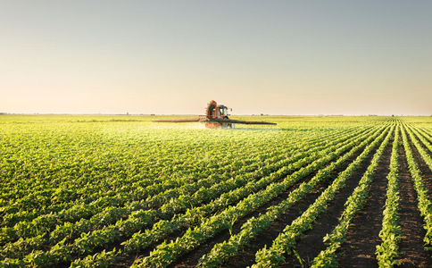 農(nóng)業(yè)行業(yè)獵頭的服務(wù)標(biāo)準(zhǔn)是什么？ 