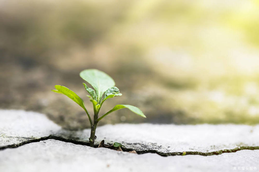 獵頭分享四川關于2022年調整退休人員基本養老金的通知